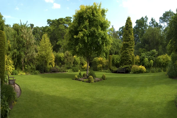Professional landscaping services Reliable landscaping services
